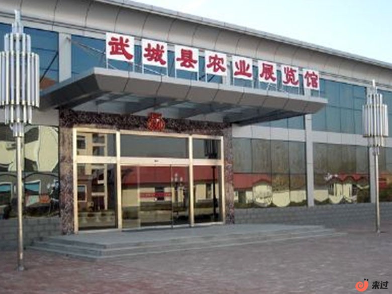 t5.jpg