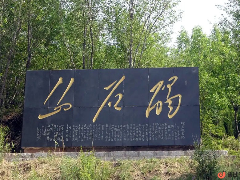 t3.jpg