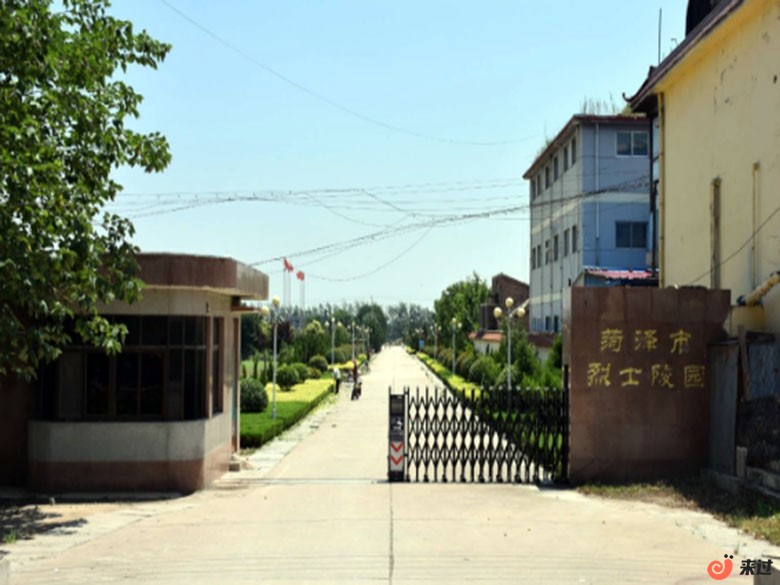 t2.jpg