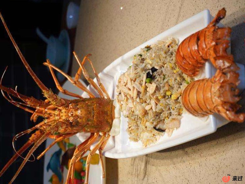 t11.jpg