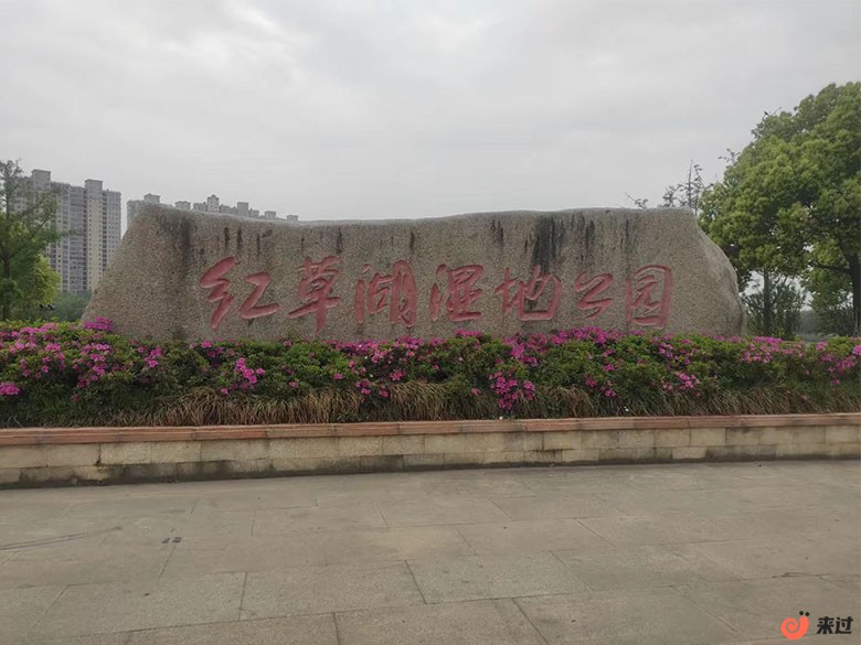 红草湖湿地公园.jpg