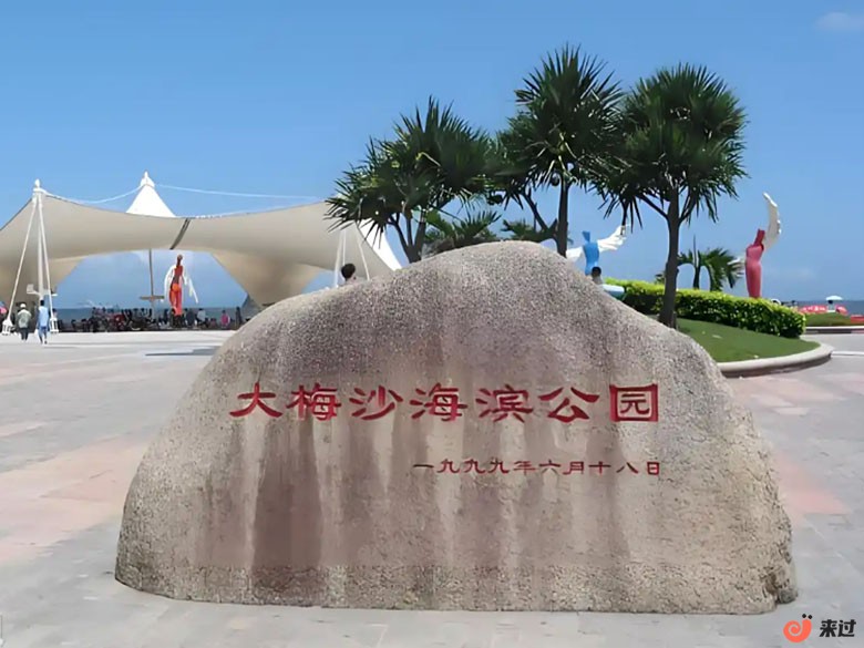 t7.jpg