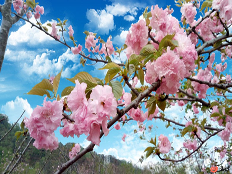 t6.jpg