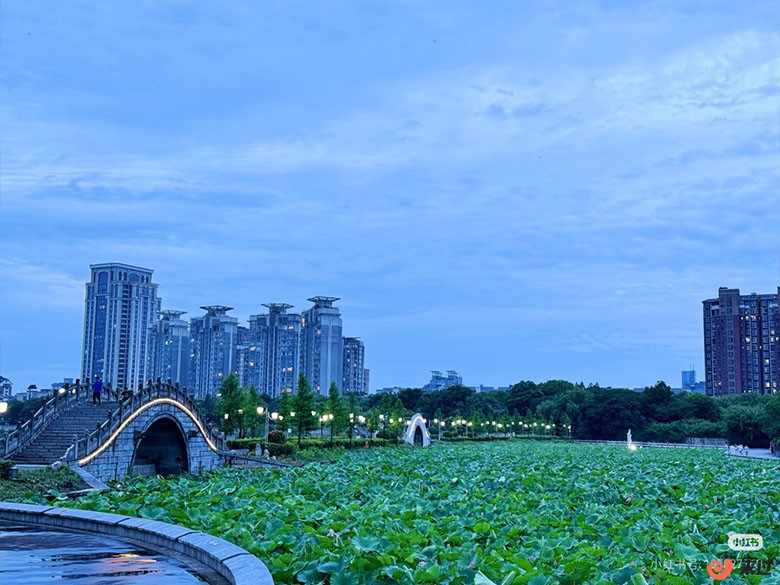 东湖湿地公园.jpg
