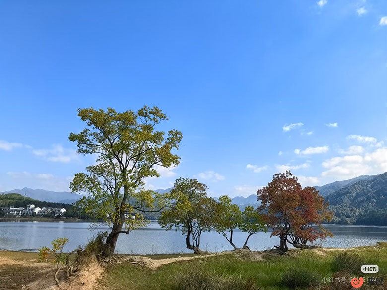 奇湖村.jpg